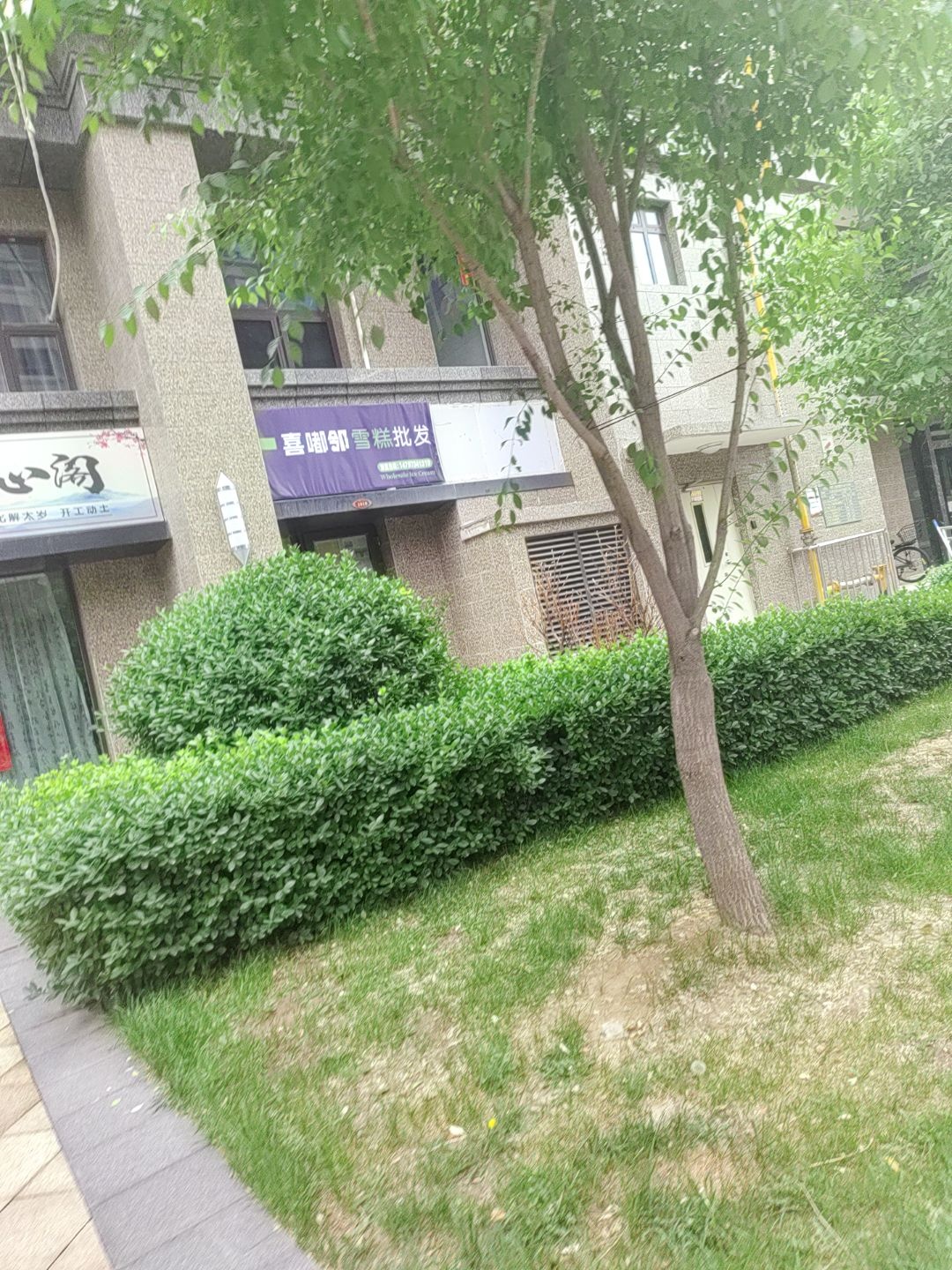 喜嘟邻雪糕批发(文兴路店)
