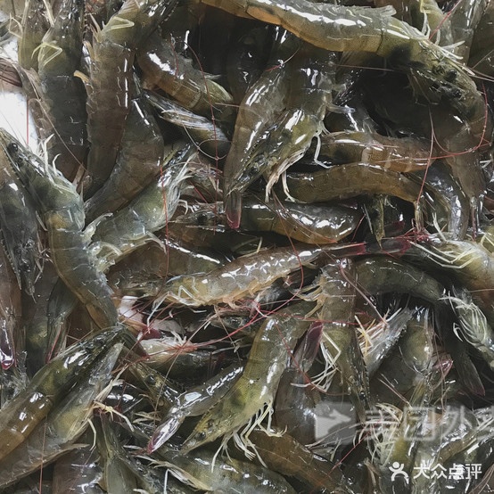 罗记海鲜城行