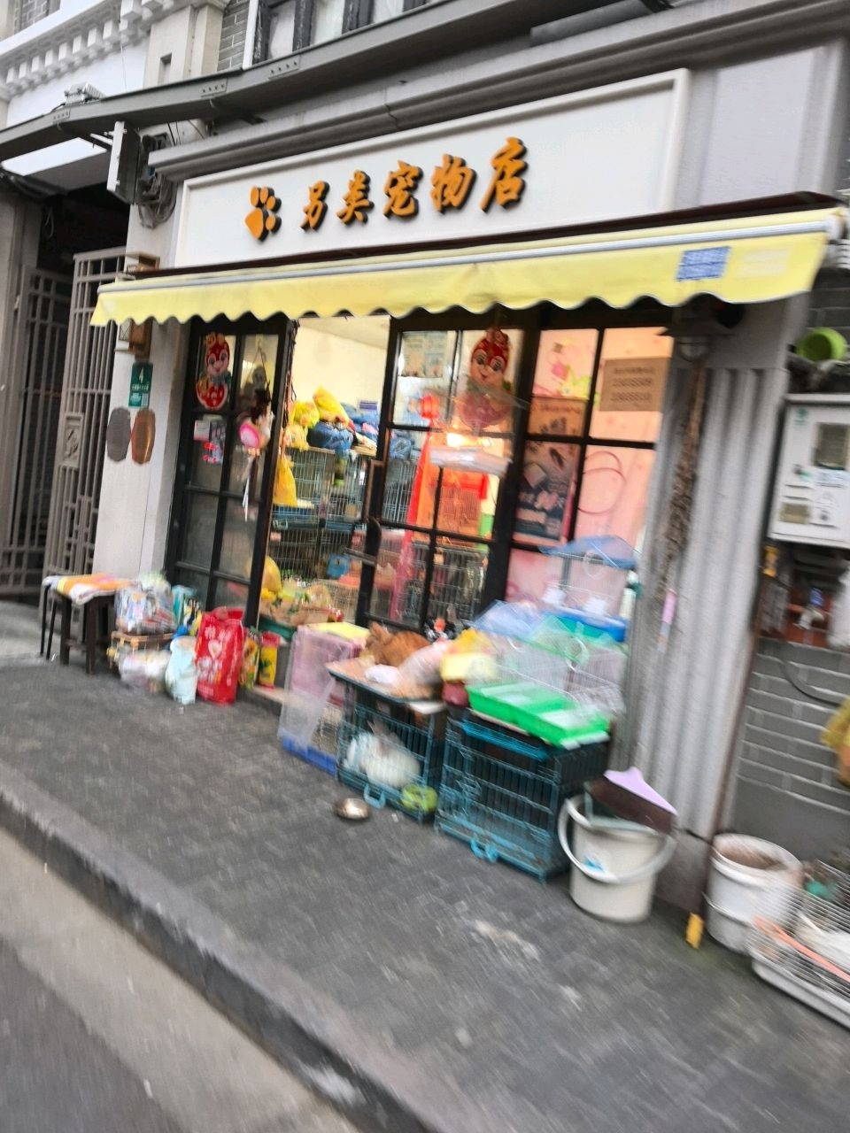 另类宠物店