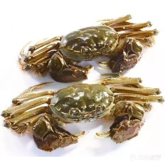 海岸线海鲜