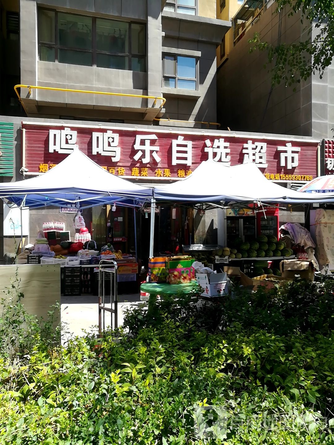 鸣鸣乐马自选超市
