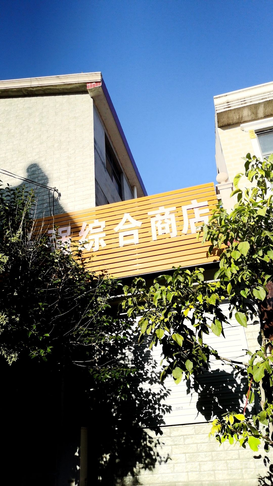 大强综合商店。