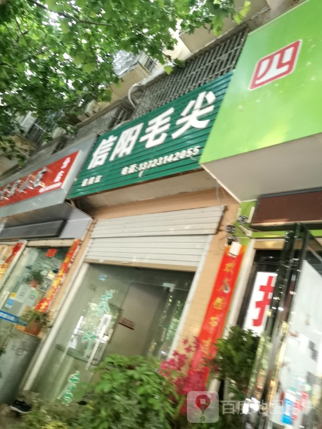 息县信阳毛尖(南大街店)