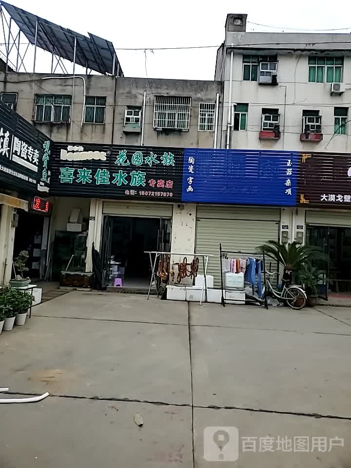 喜来佳水族专专卖