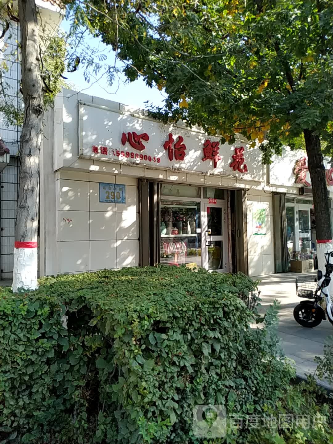 心怡鲜花