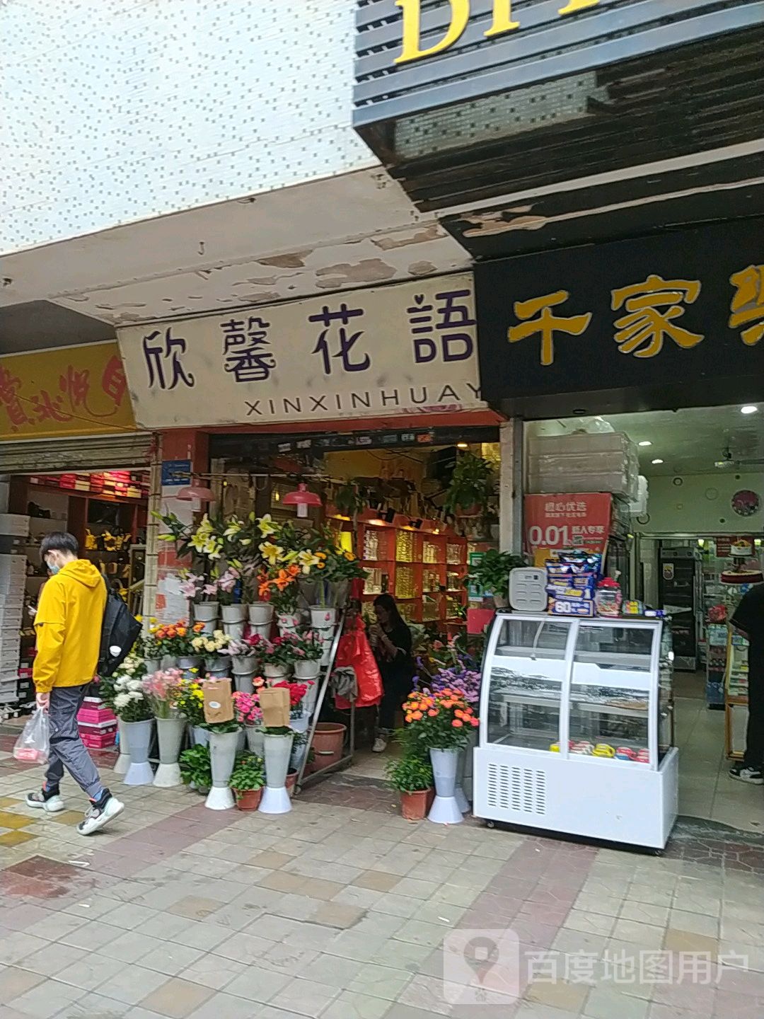 欣馨花语