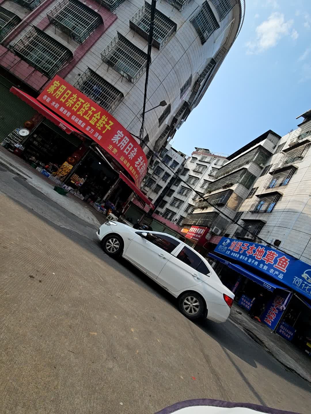 刘猛子本地草鱼