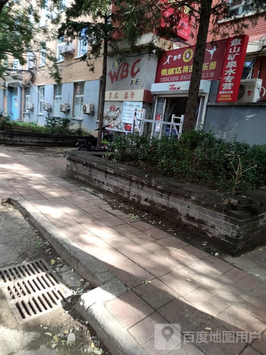 WBC拳击泰拳