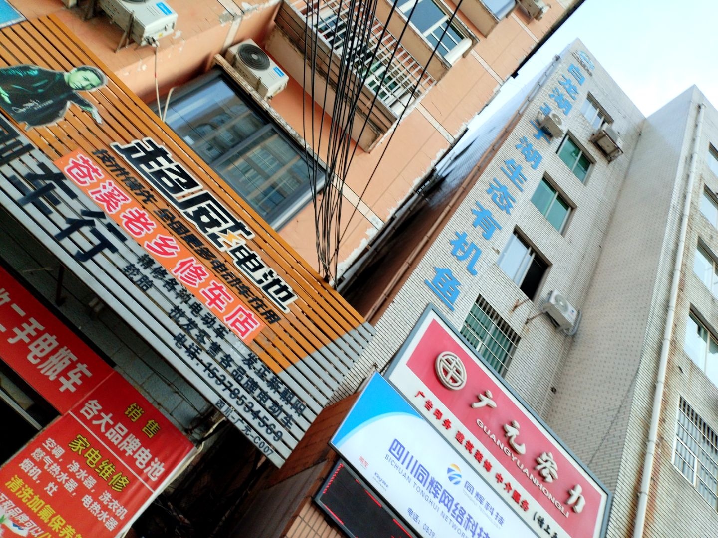 白龙湖亭子湖生态有机鱼