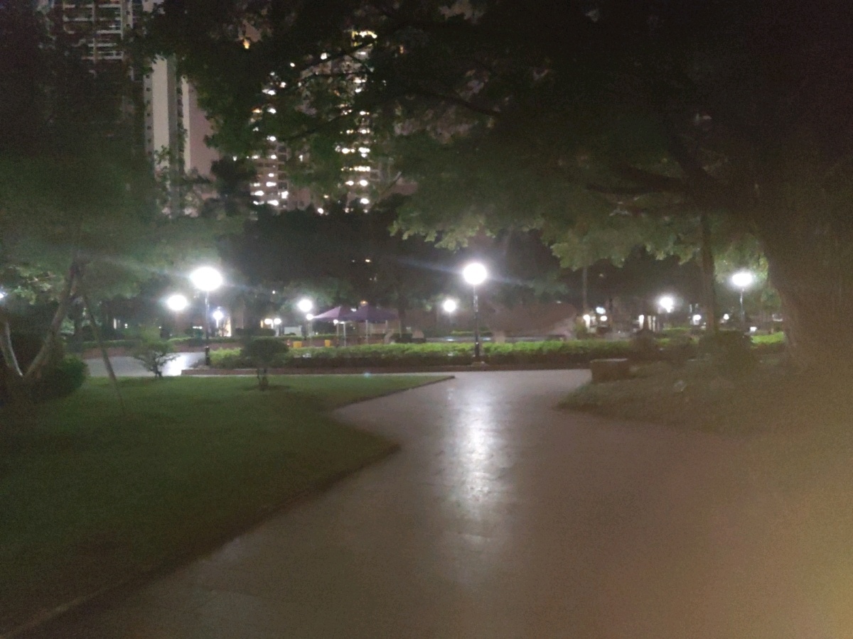 广西医科大学-世纪公园
