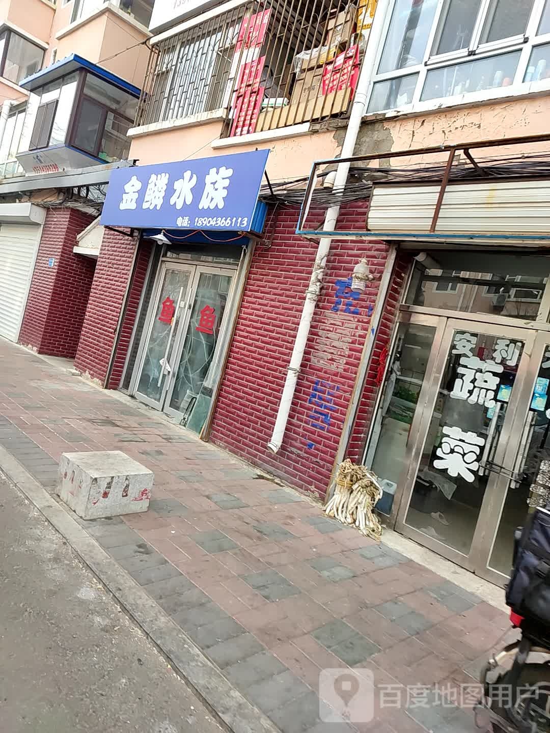 金鳞水景(民生西路店)