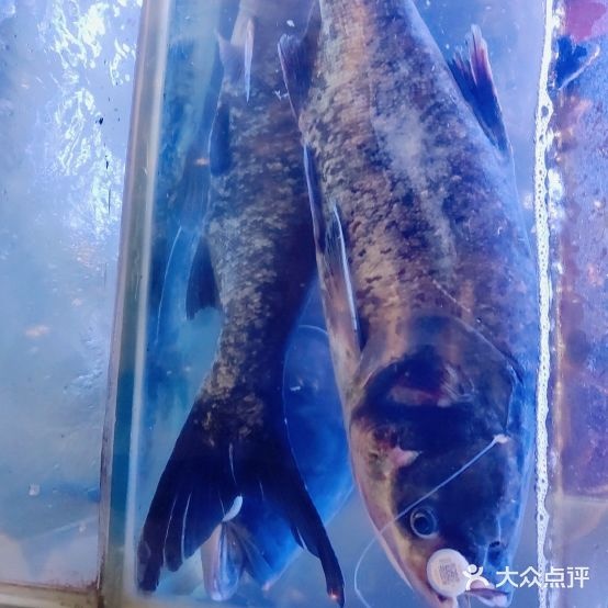 重一味鲜鱼火锅(顺庆店)