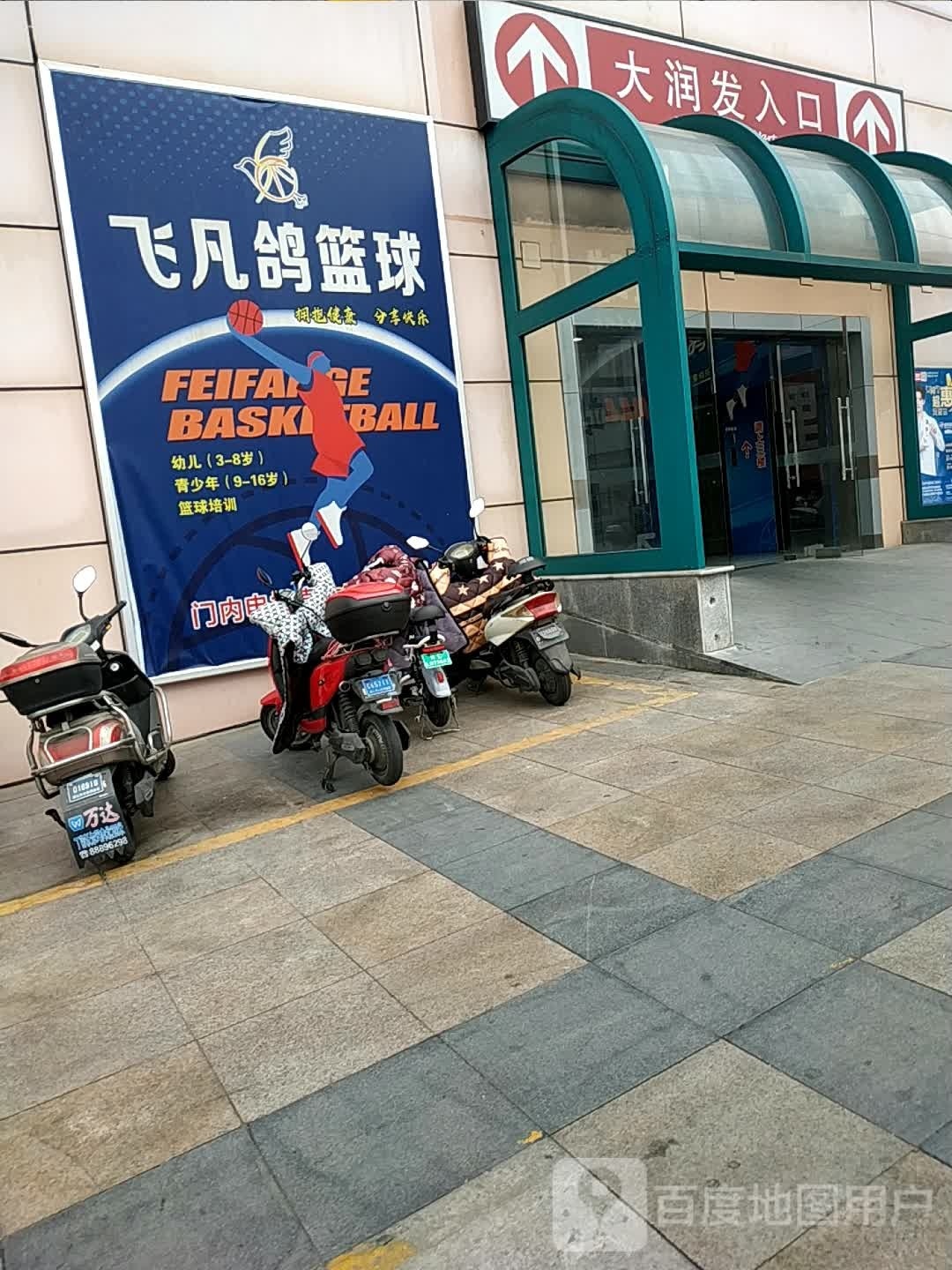 非凡鸽篮球