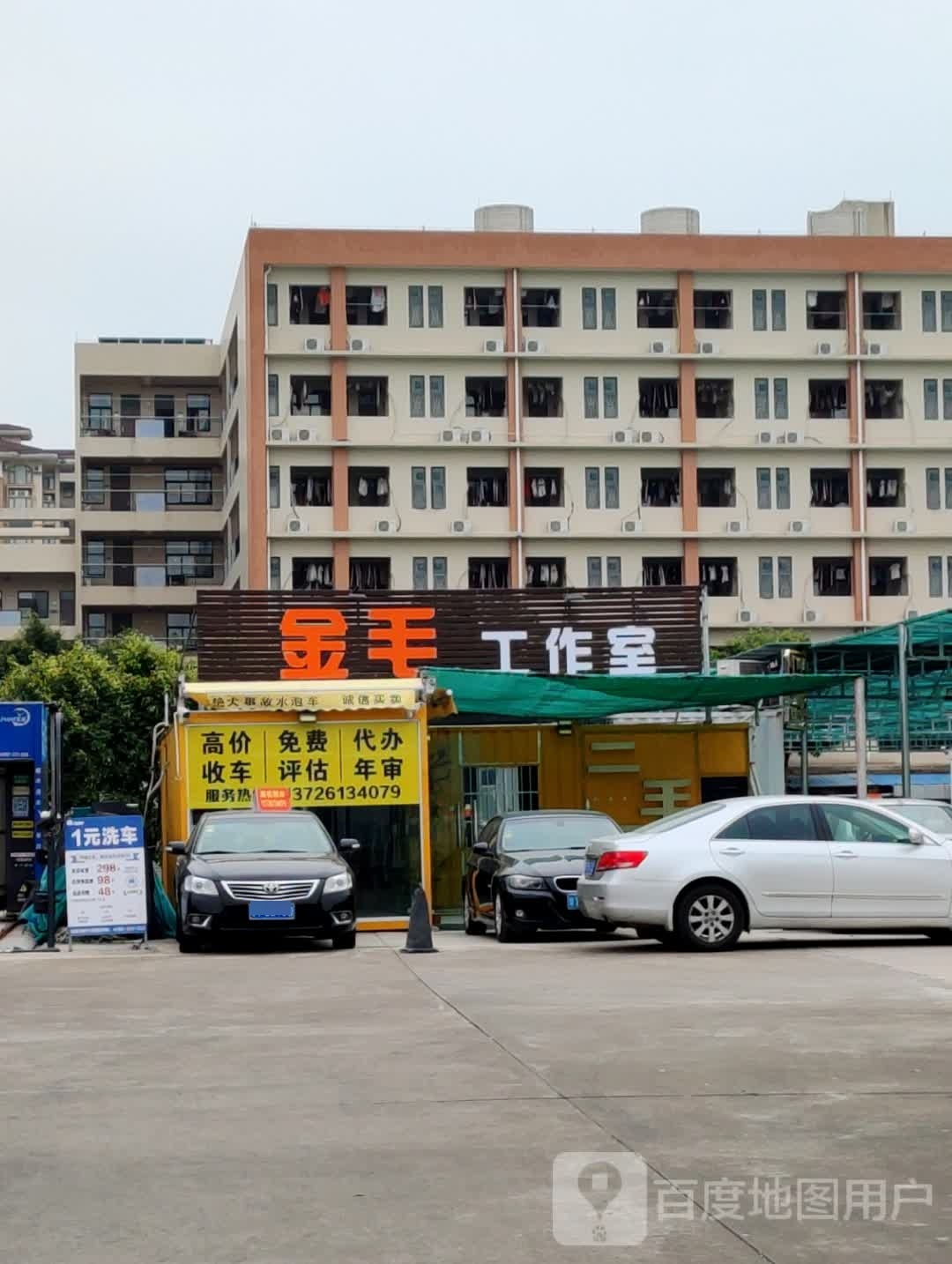 金毛工作室