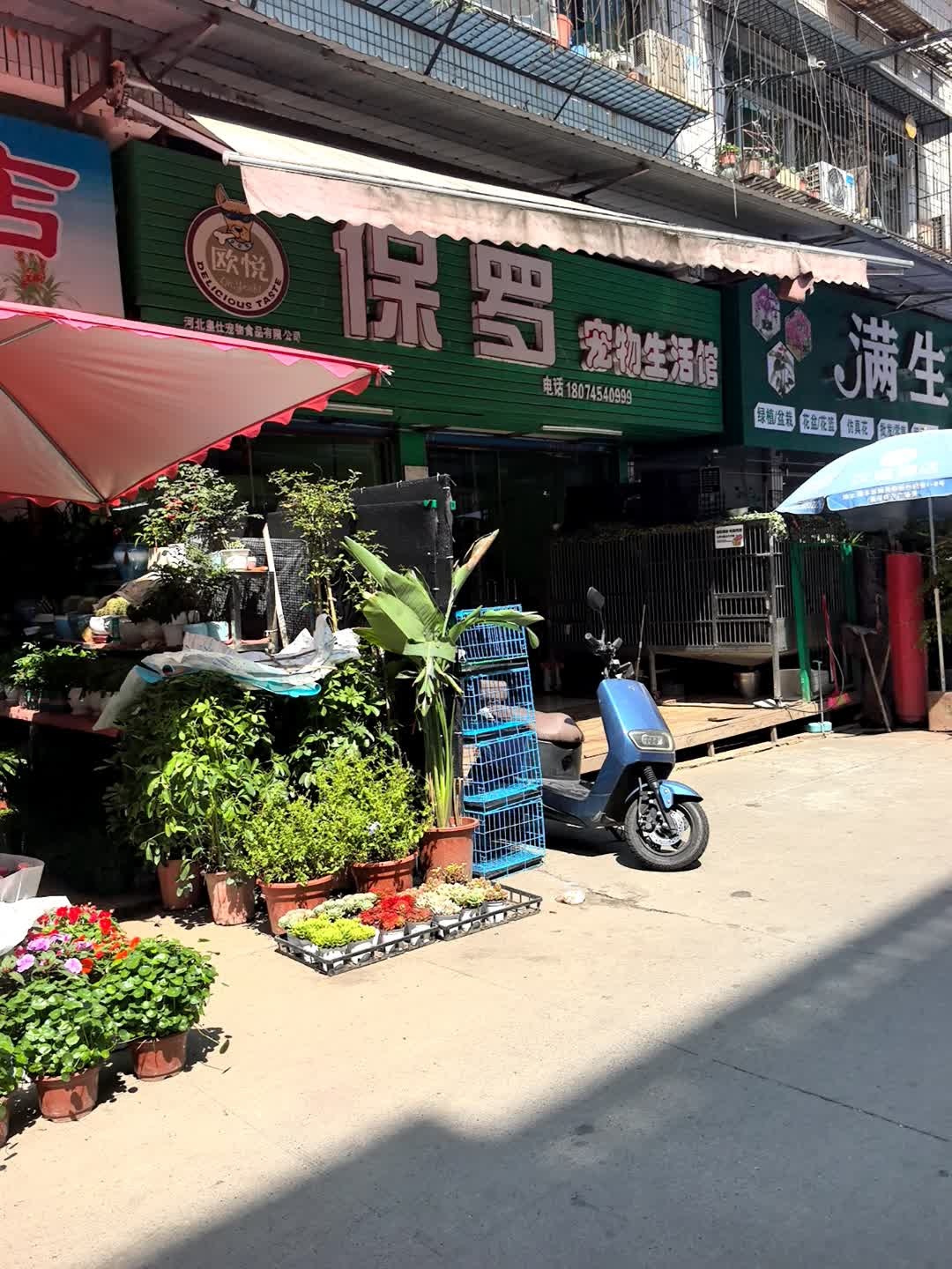 保罗宠物生活馆(富民花鸟大市场店)