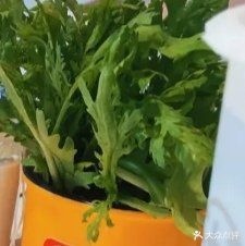 喜盅盅活过(光明路店)