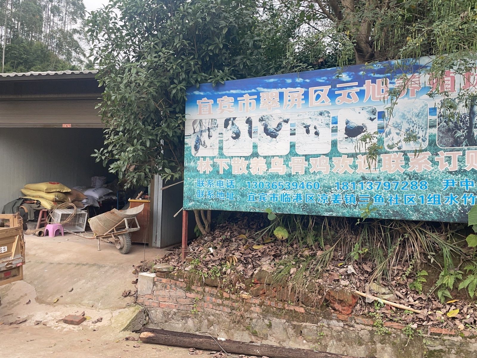 云旭钓场