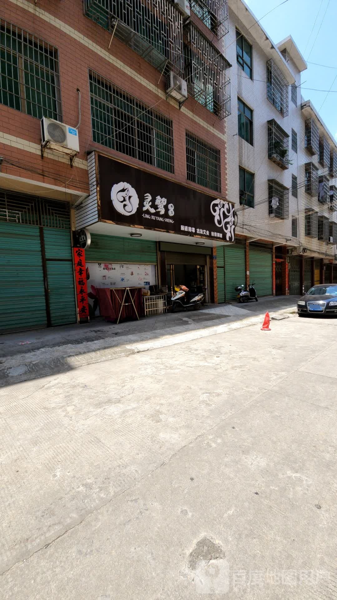 灵鹫养生