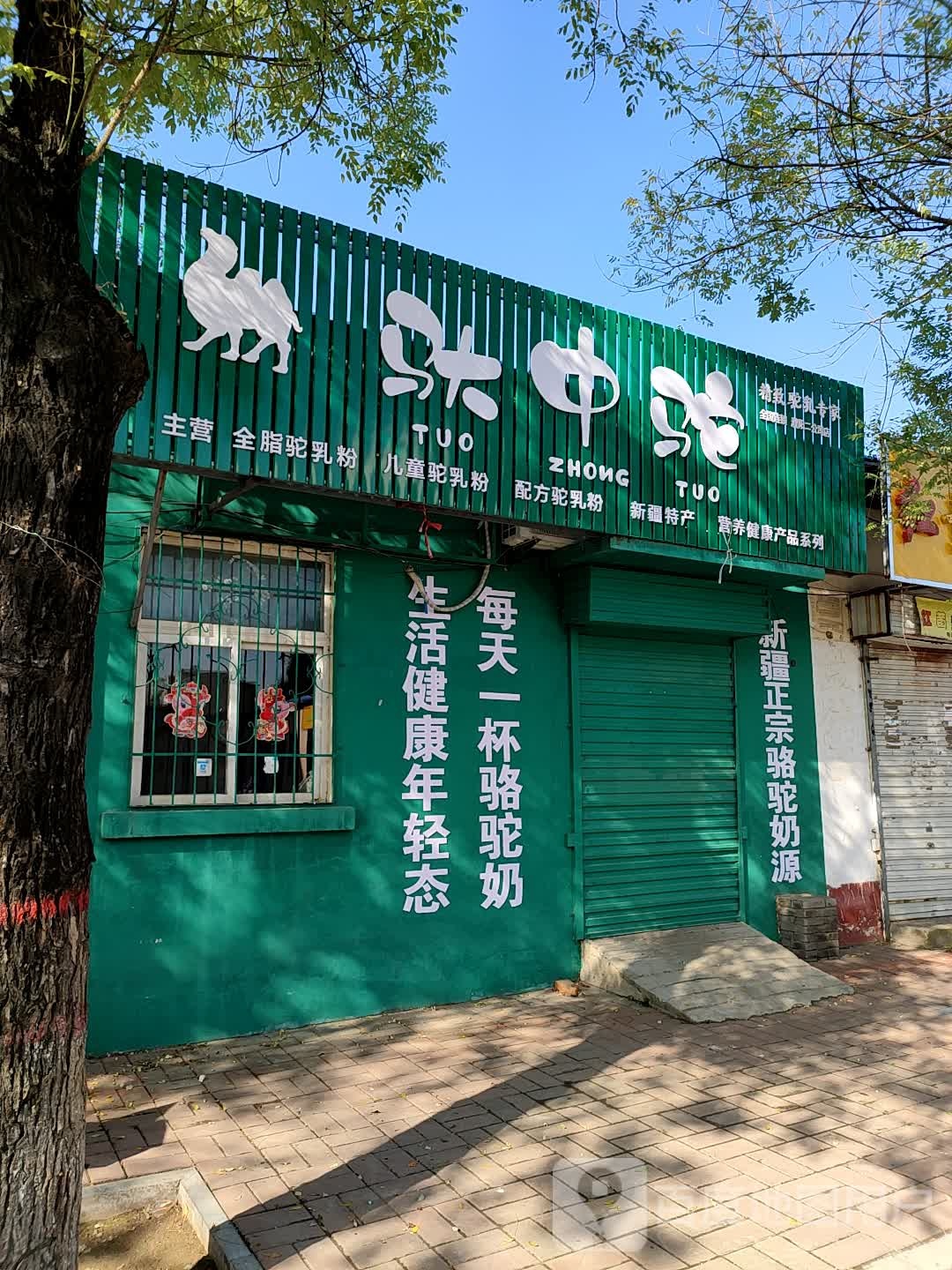 驮中驼