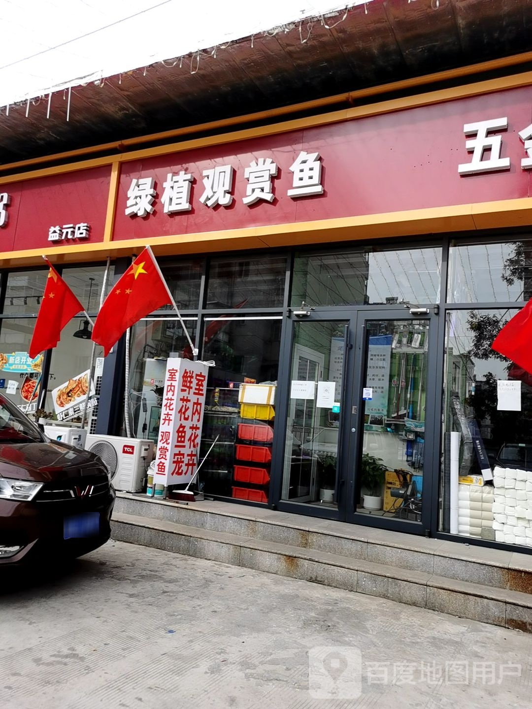 绿植观赏鱼