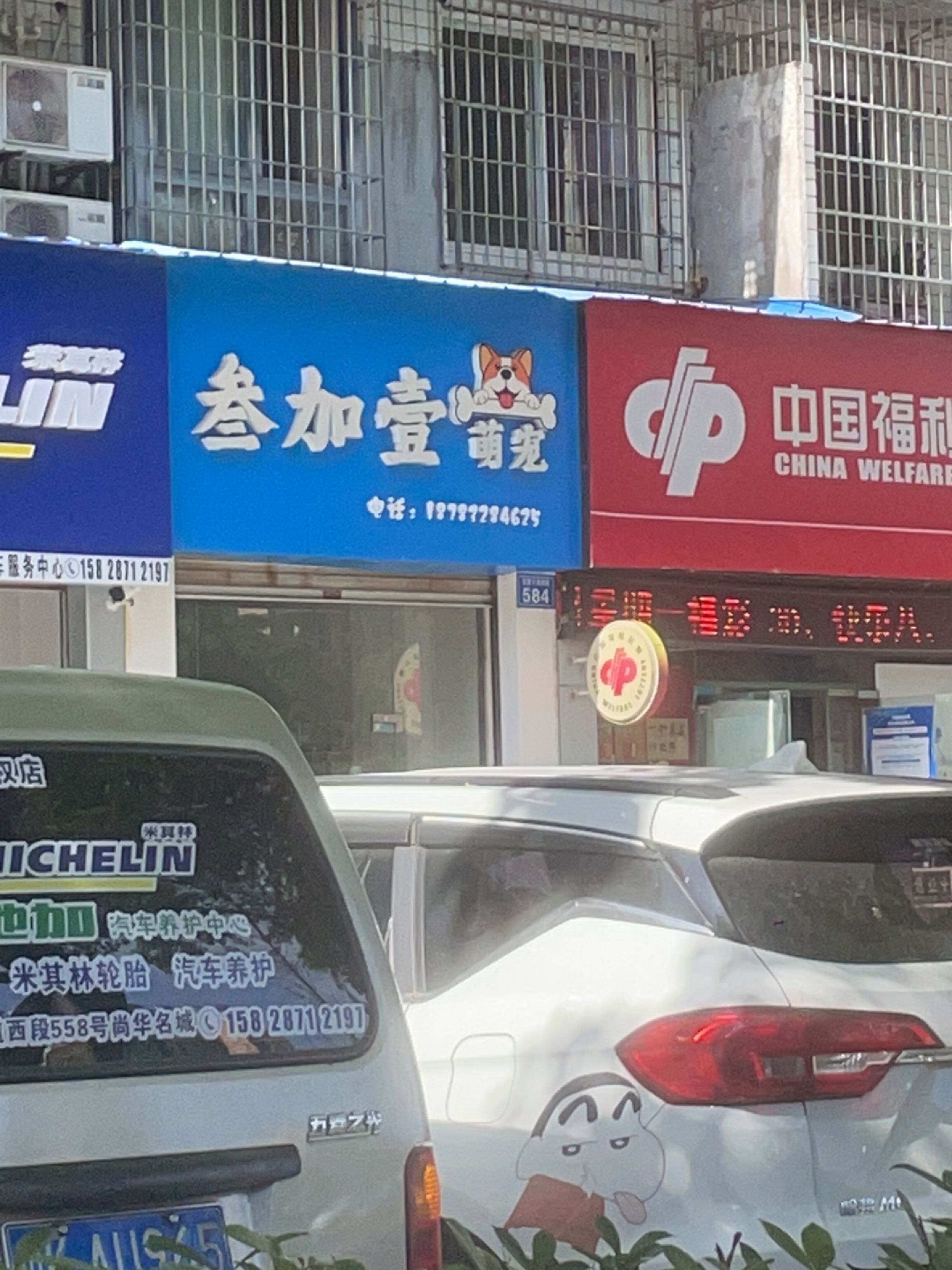 叁加壹萌宠