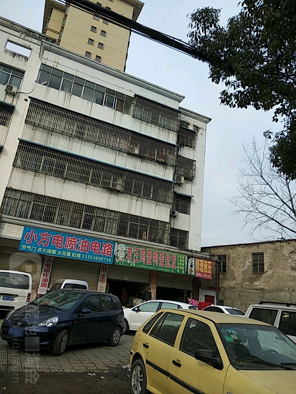 固始县老汪鸡蛋鸭蛋批发