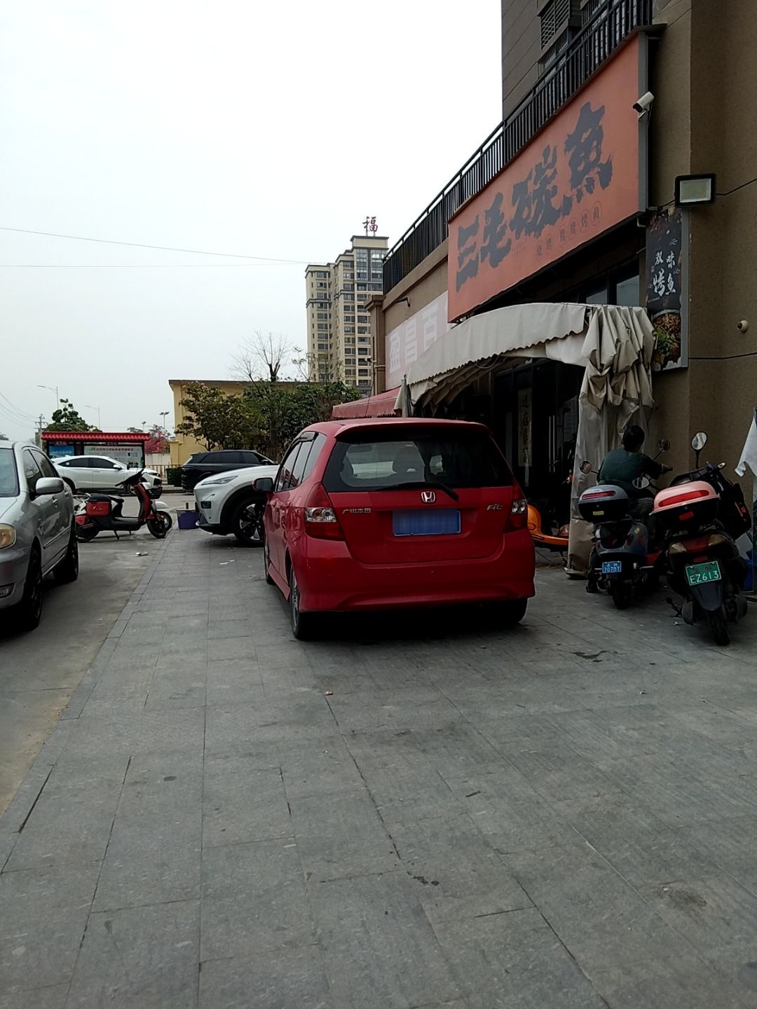 三毛碳鱼(荣顾·碧玉园店)