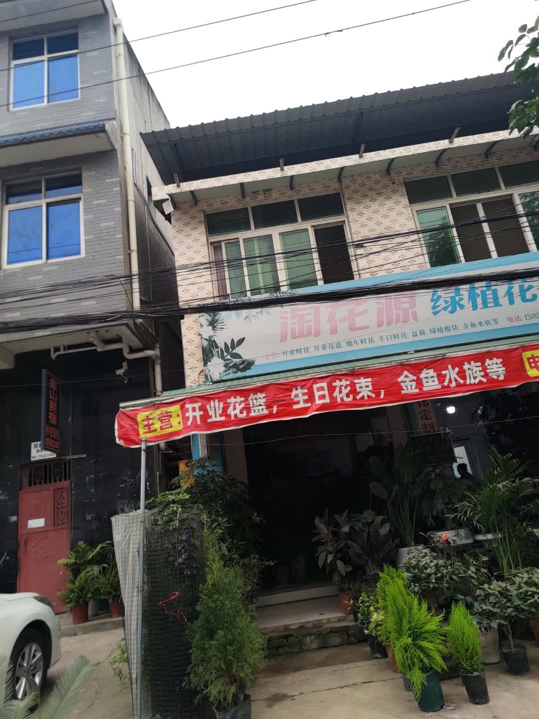 淘花源绿植花卉