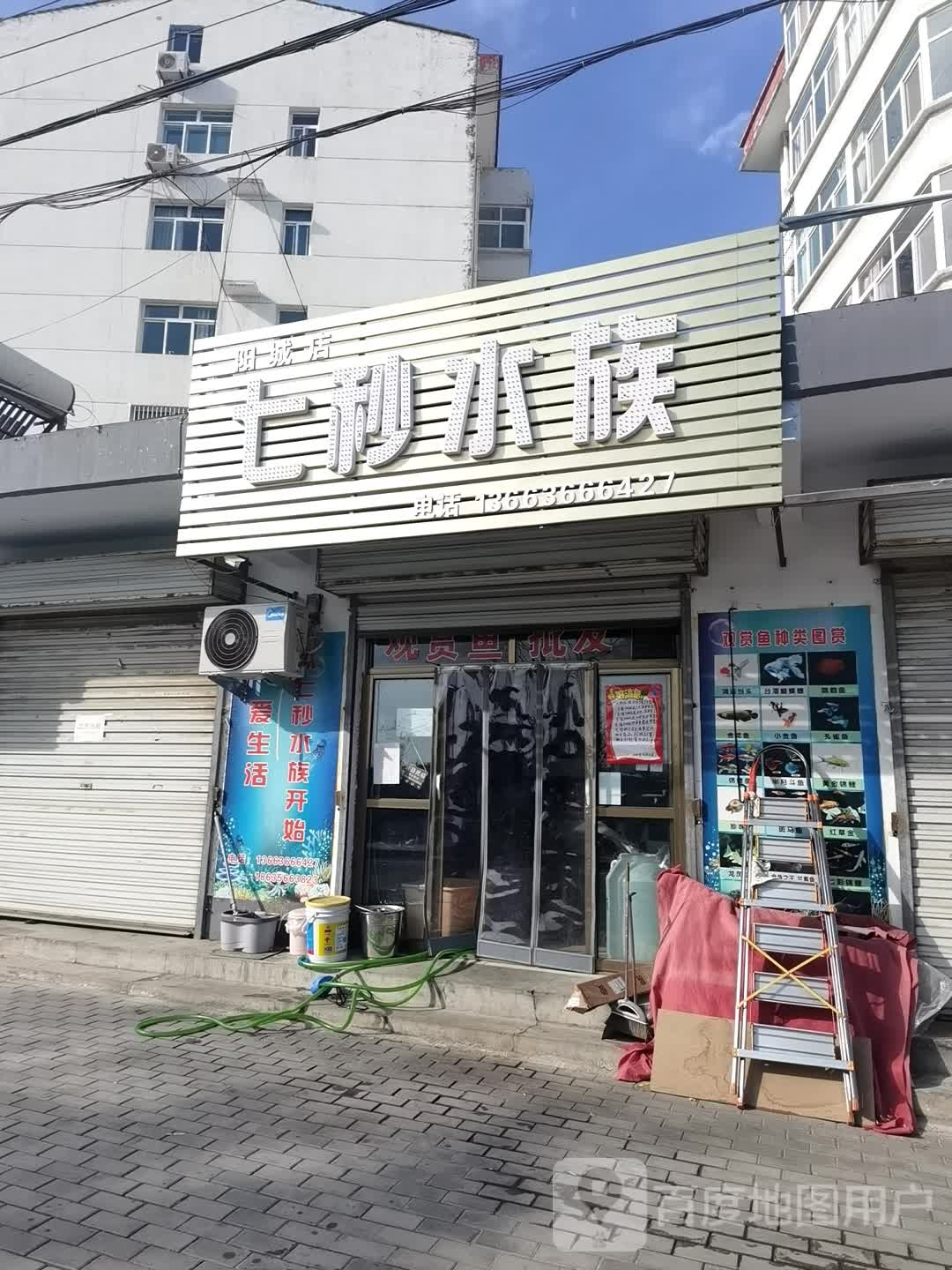 七秒水族(阳城店)