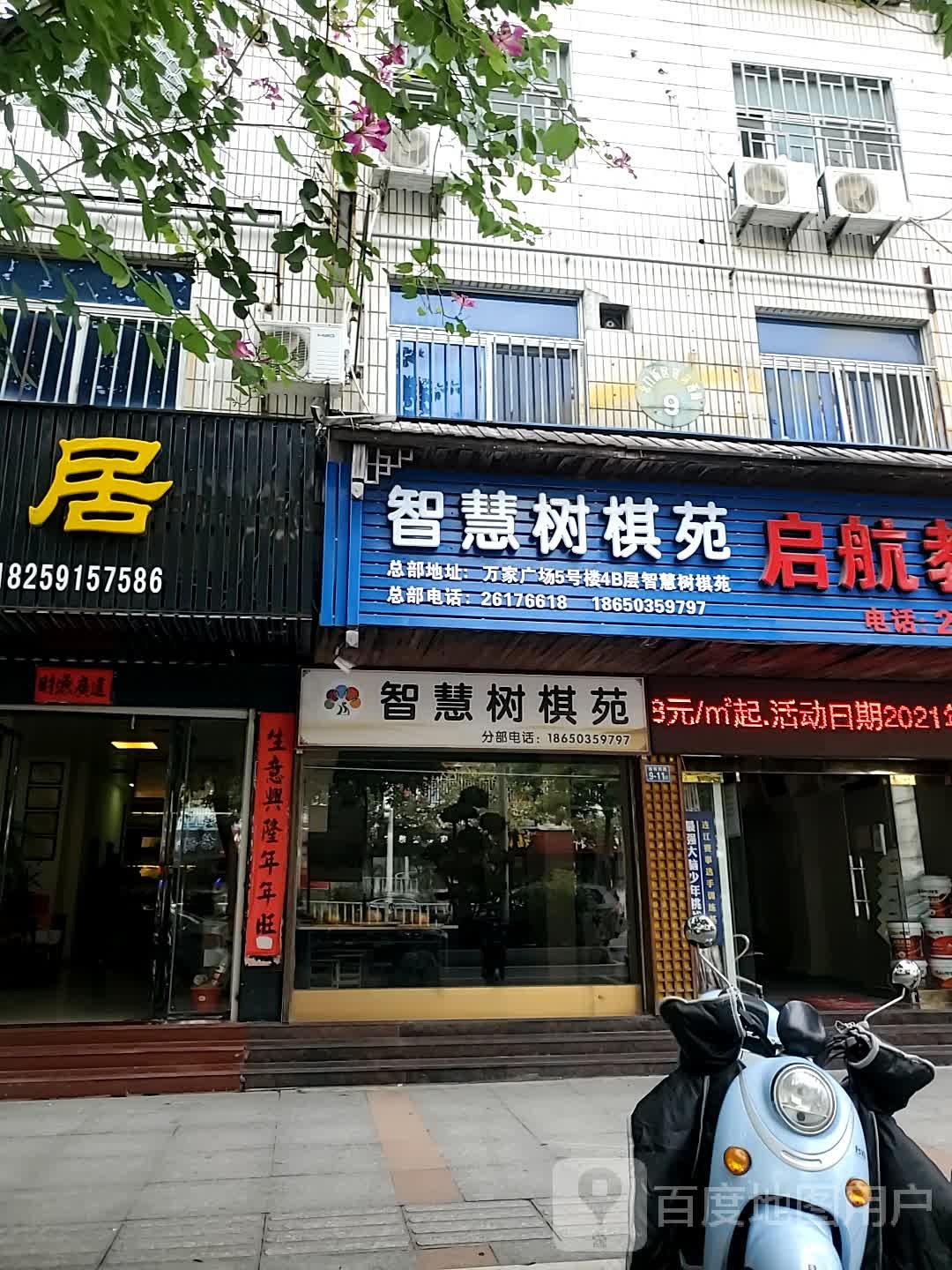 智慧树棋苑(分部)