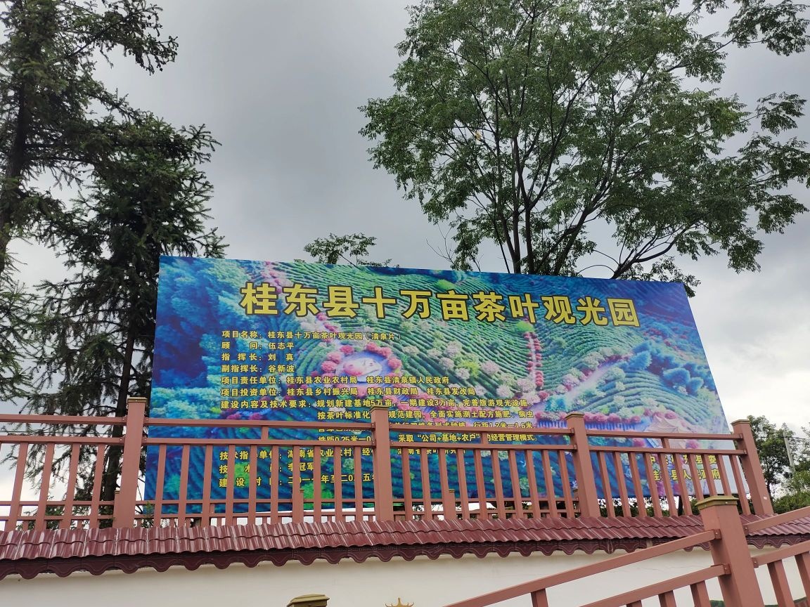 万亩玲珑茶业观光园