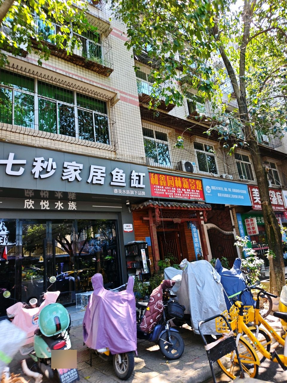 七秒家居鱼缸(兴满庭园店)