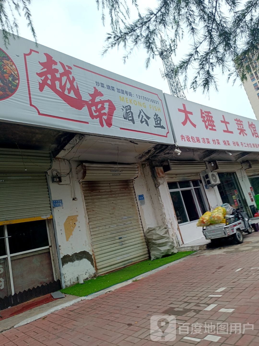 越南湄公鱼(二里庄店)