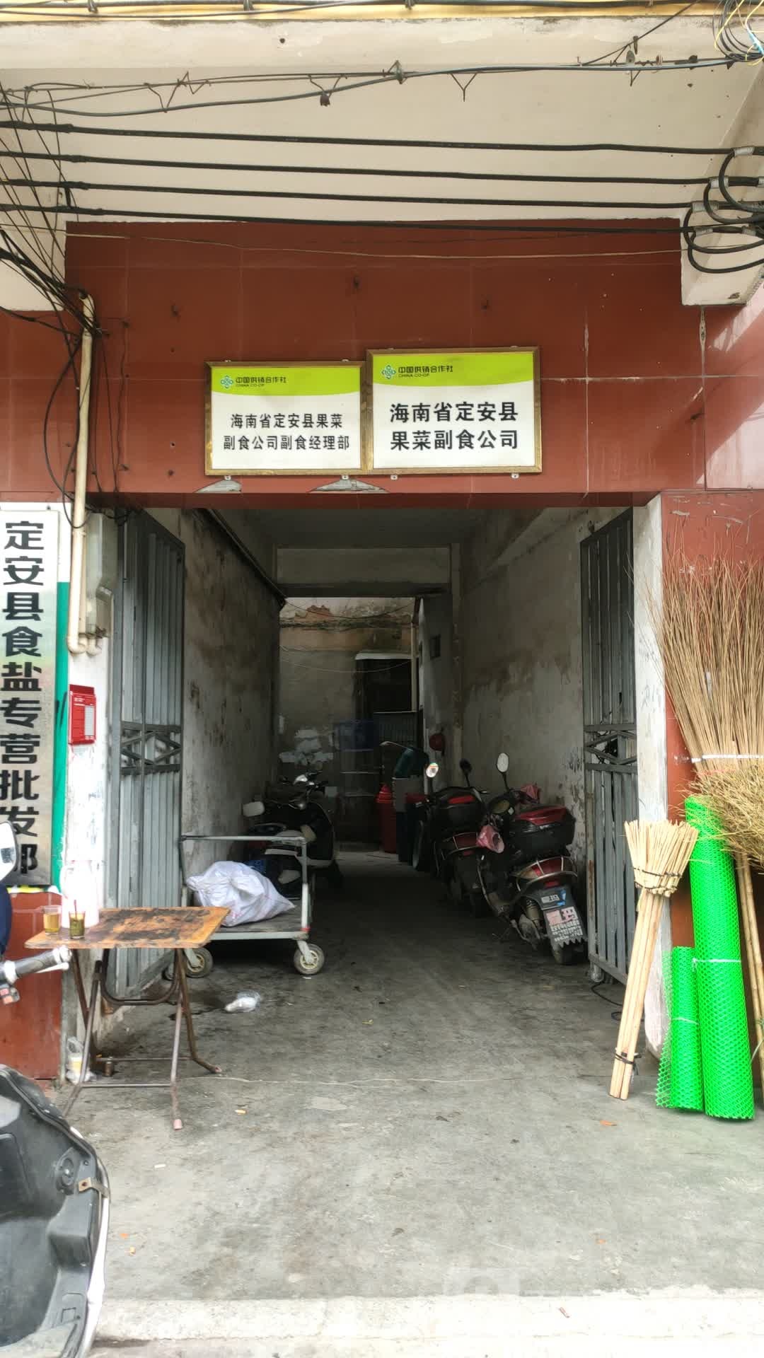 海南省定安县果菜副食公司