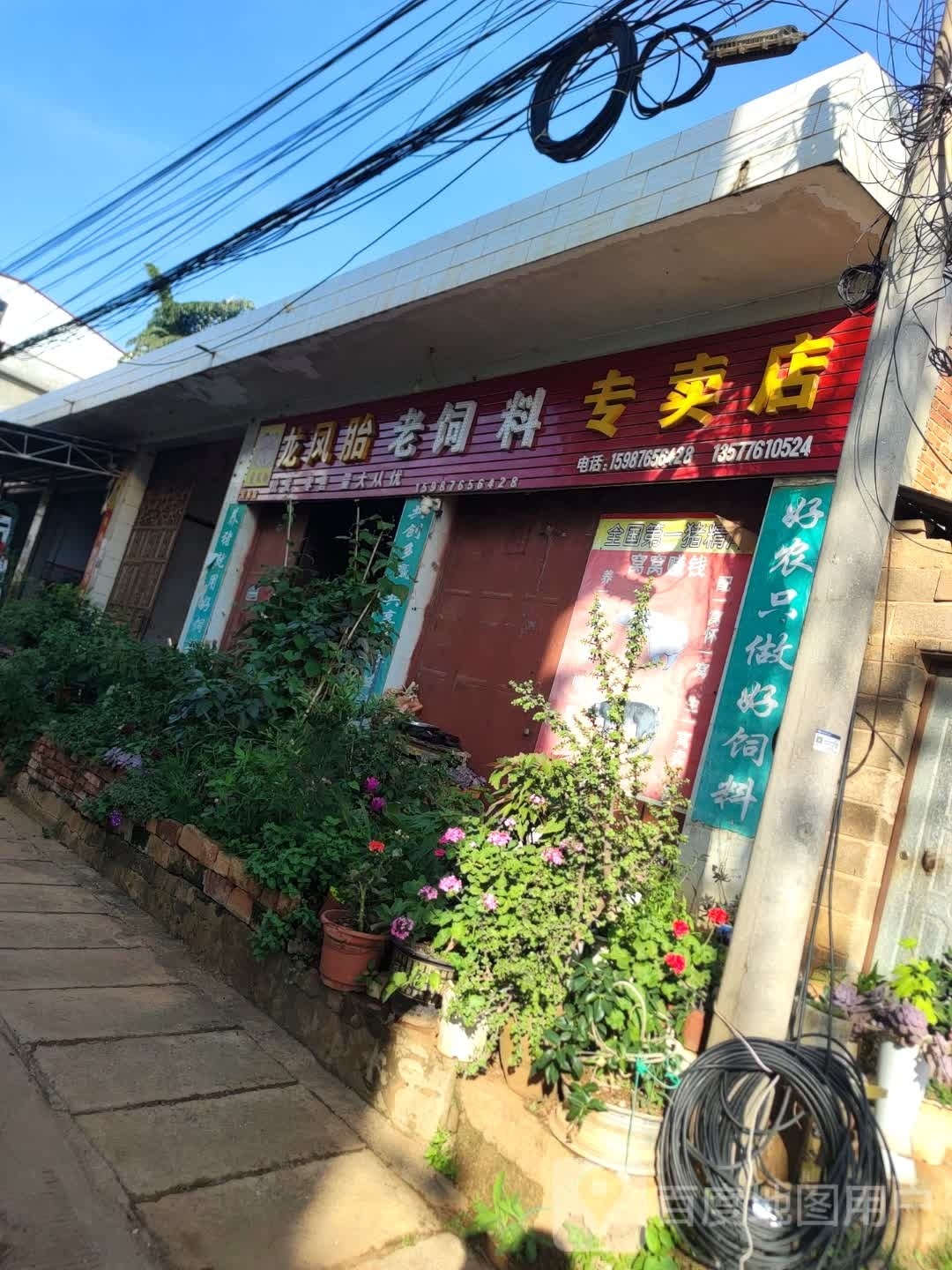 龙凤胎老饲料专卖店
