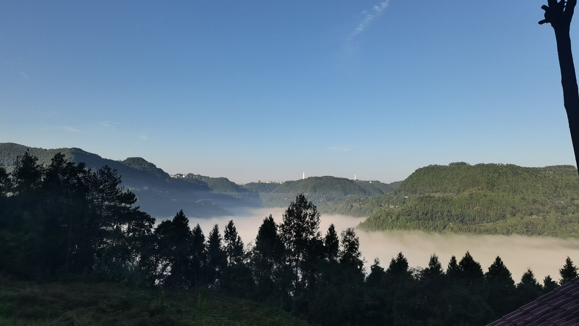 巴中市恩阳区花丛宏达生态农场