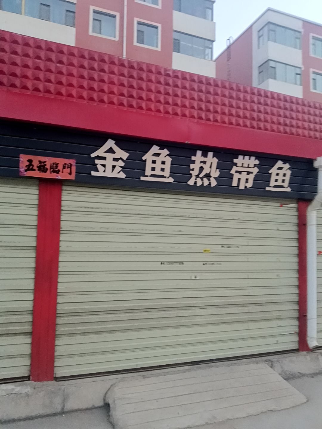 金鱼热带鱼(幸福小区店)