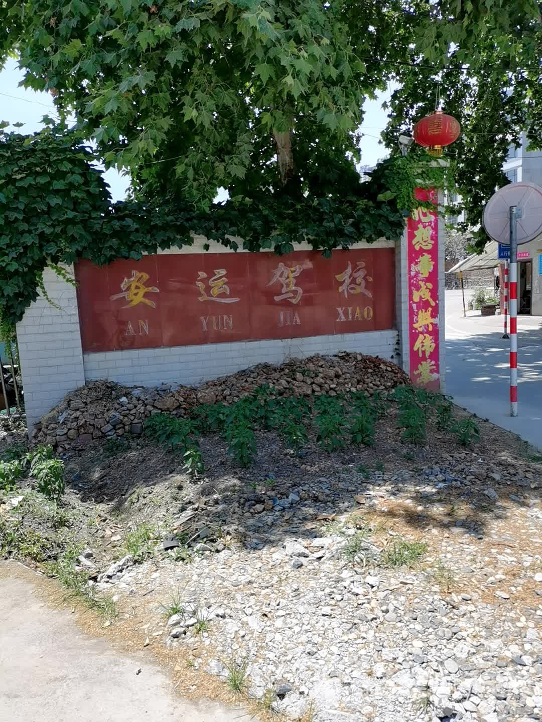 安运驾校