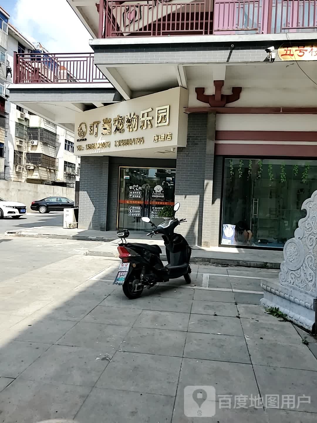 小叮当宠物(千秋印象唐城店)