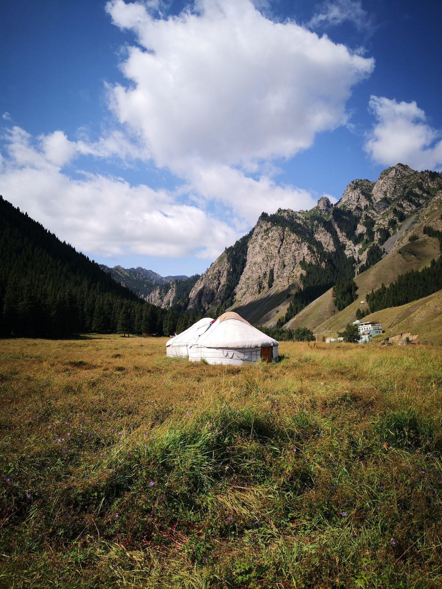南山牧场西白杨沟景区