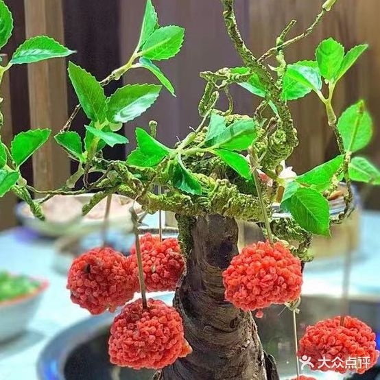 沸小煮火锅