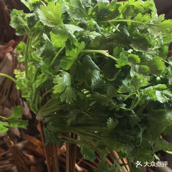 丽丽麻辣串香火店