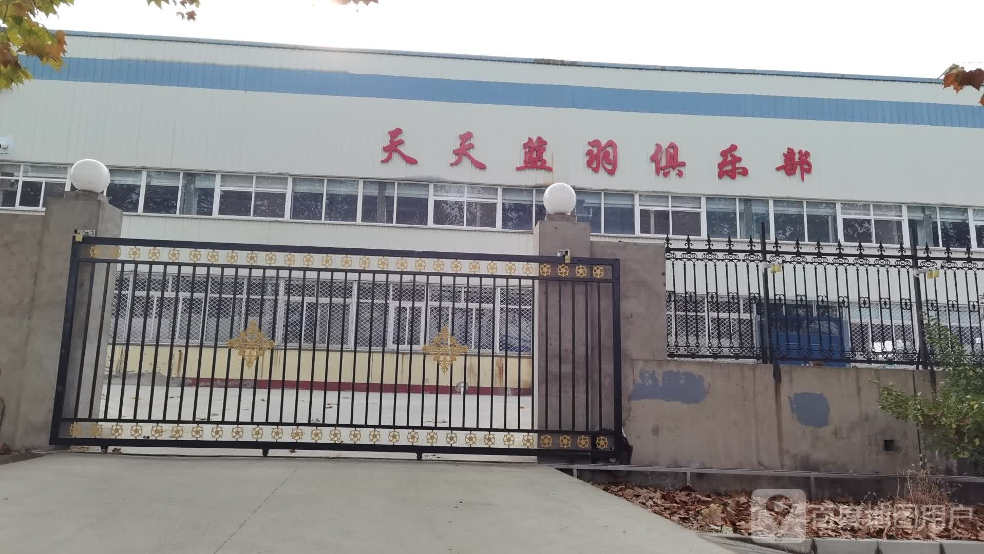 天天蓝羽俱乐部