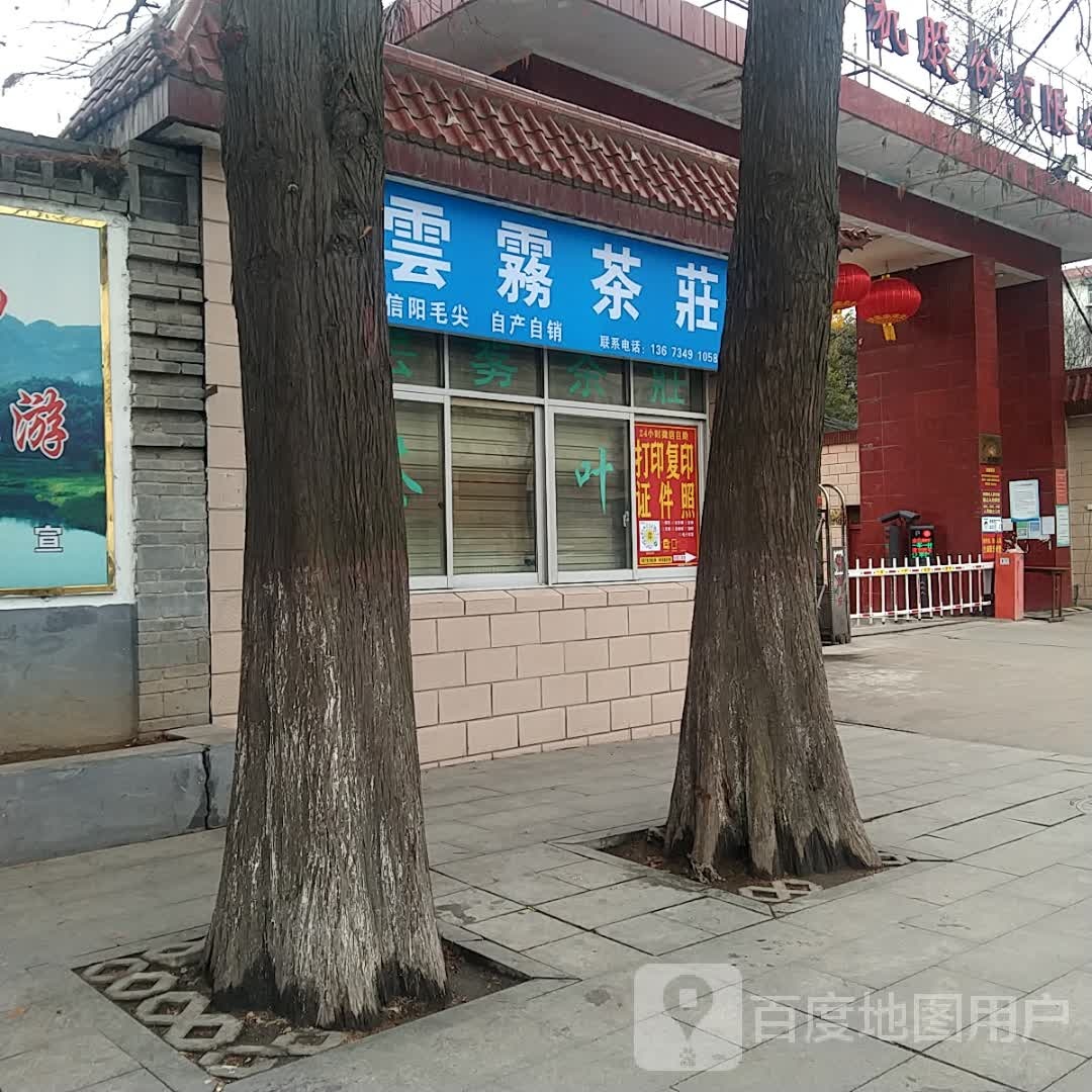 云雾茶庄(工区街店)