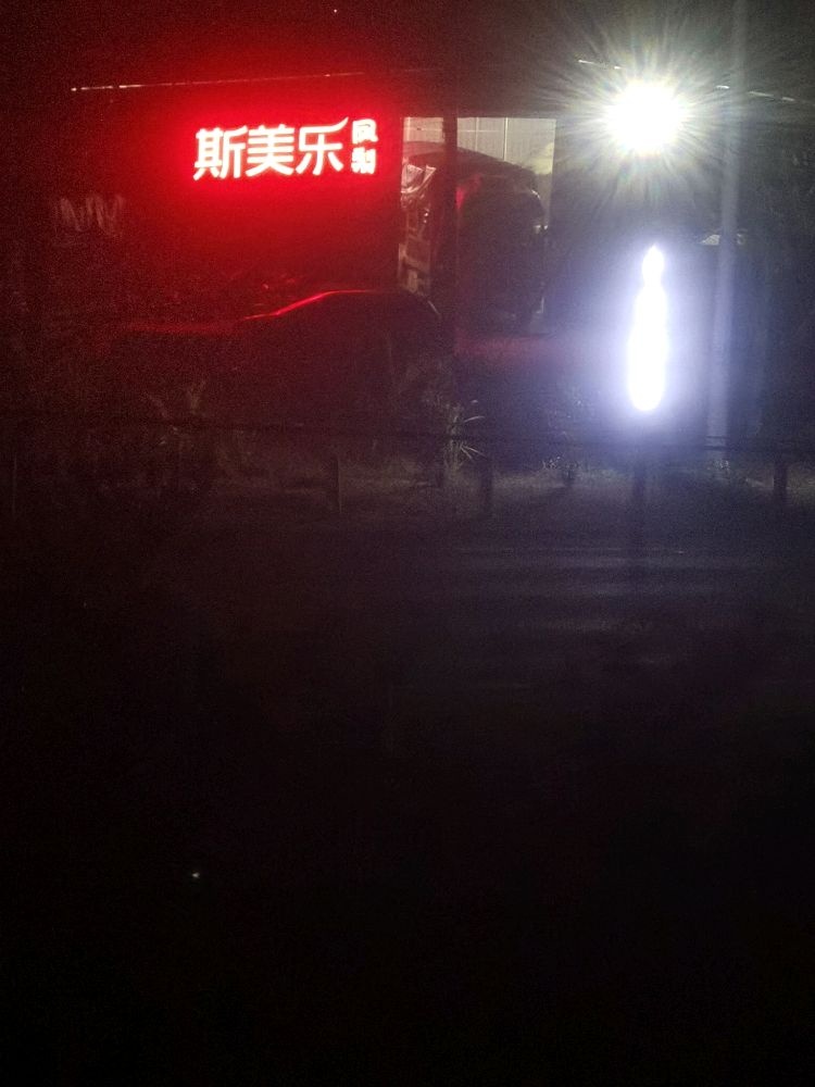 斯美乐凤梨
