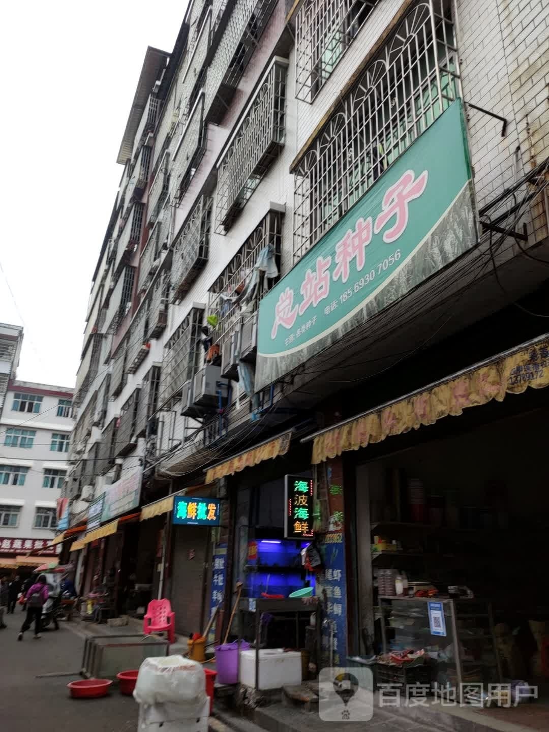 海波海鲜批发行