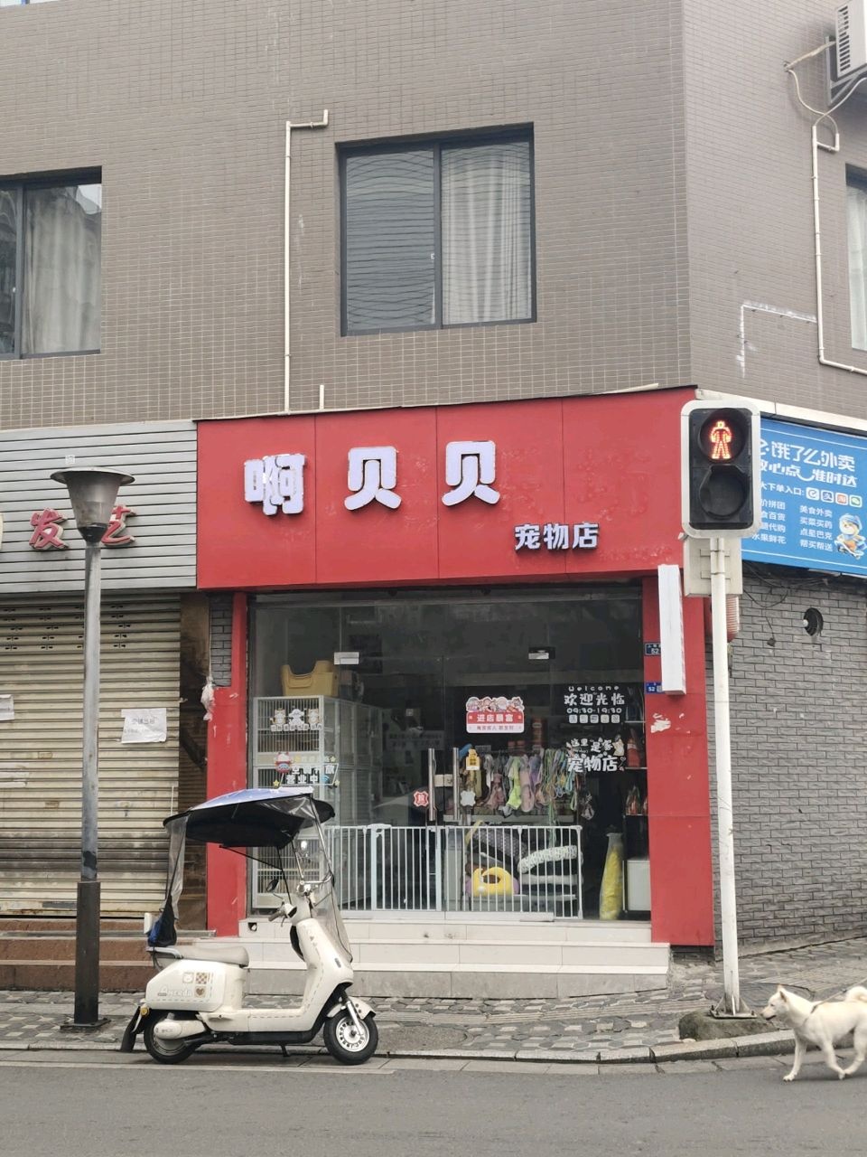 啊贝贝宠物店