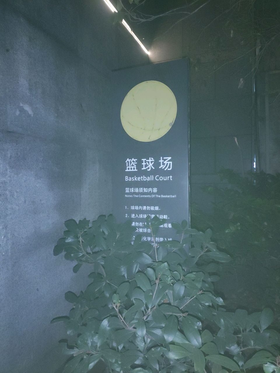 原筑壹号篮球场