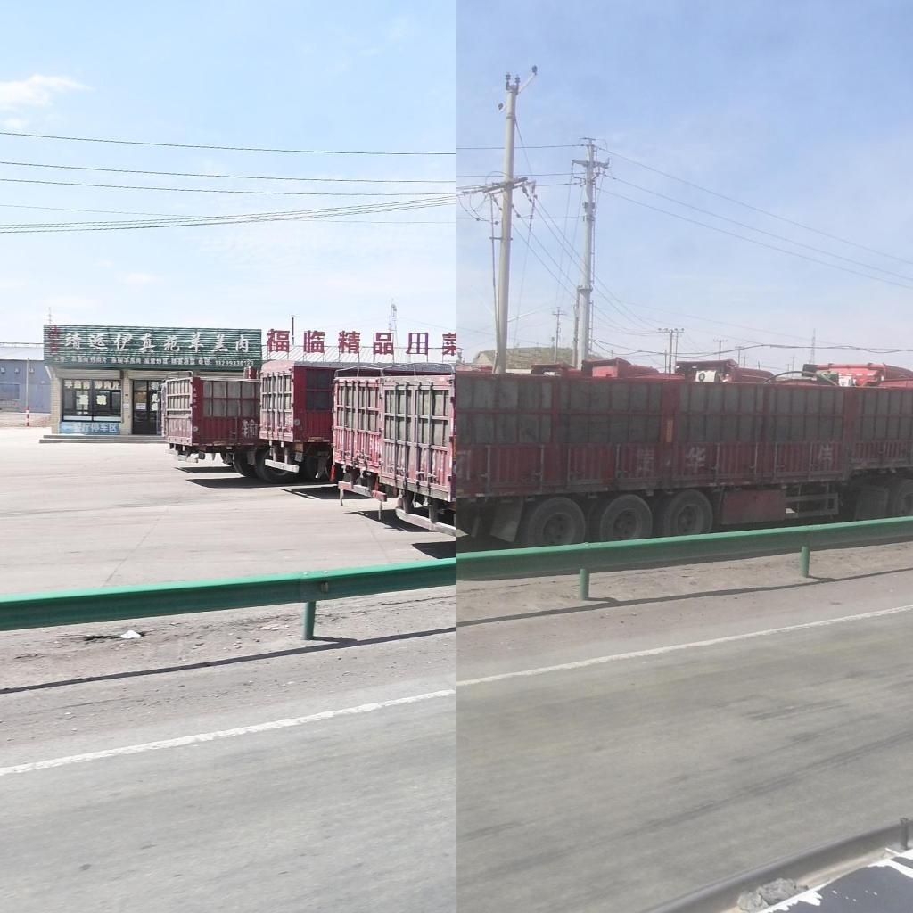 靖远伊真苑羊羔肉