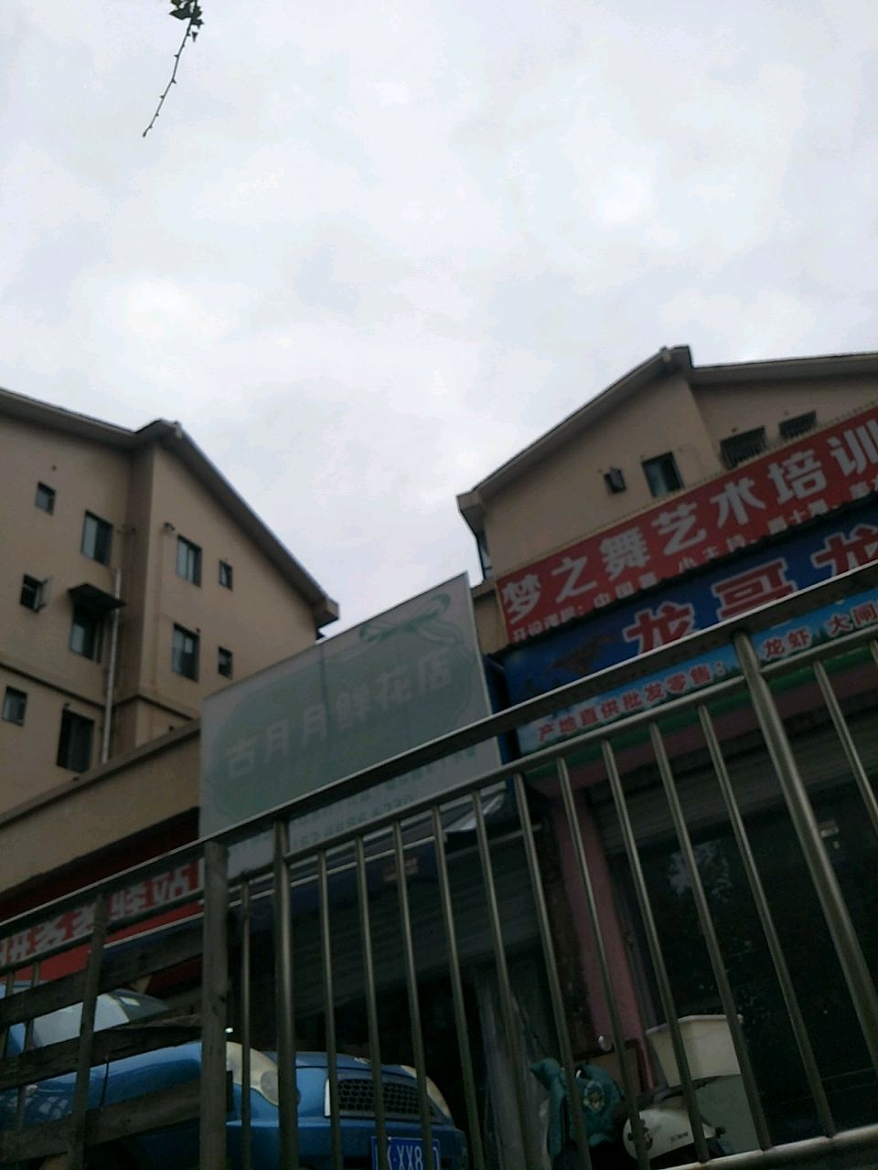 梦之舞艺术培训中心